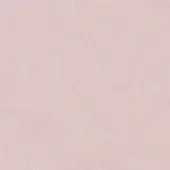 Soft nude fabric texture with subtle vertical grain and irregular bumps, displaying a matte, pale beige and pink warm tone.
